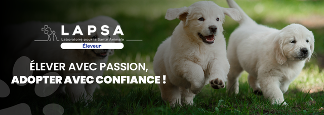 Lapsa Éleveur — Élever avec passion, adopter avec confiance
